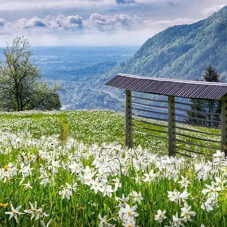 Alpine Golica Dom wakacyjny