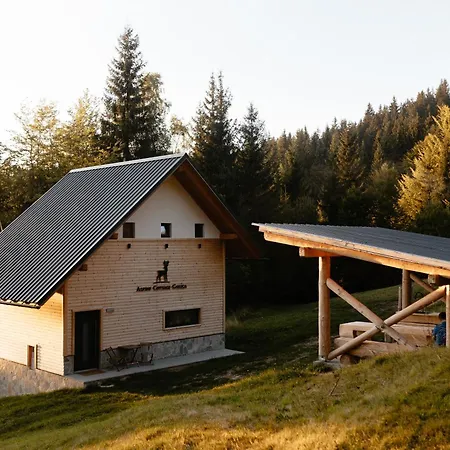 Alpine Golica 펜션 예세니체