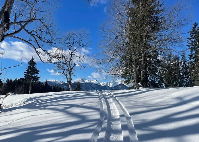 Vakantiehuis Alpine Golica *