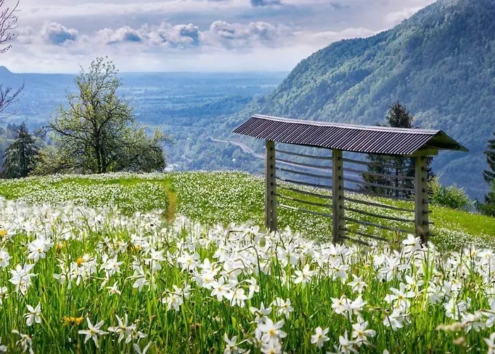 Alpine Golica Vakantiehuis